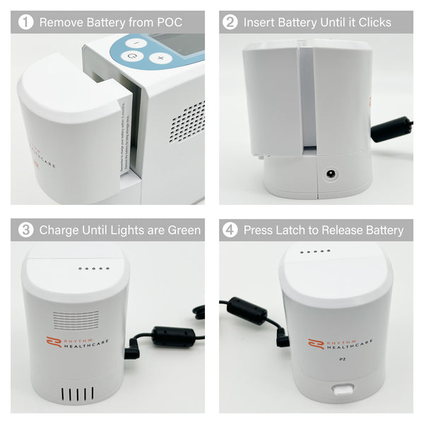 p2 e6 battery charger instructions