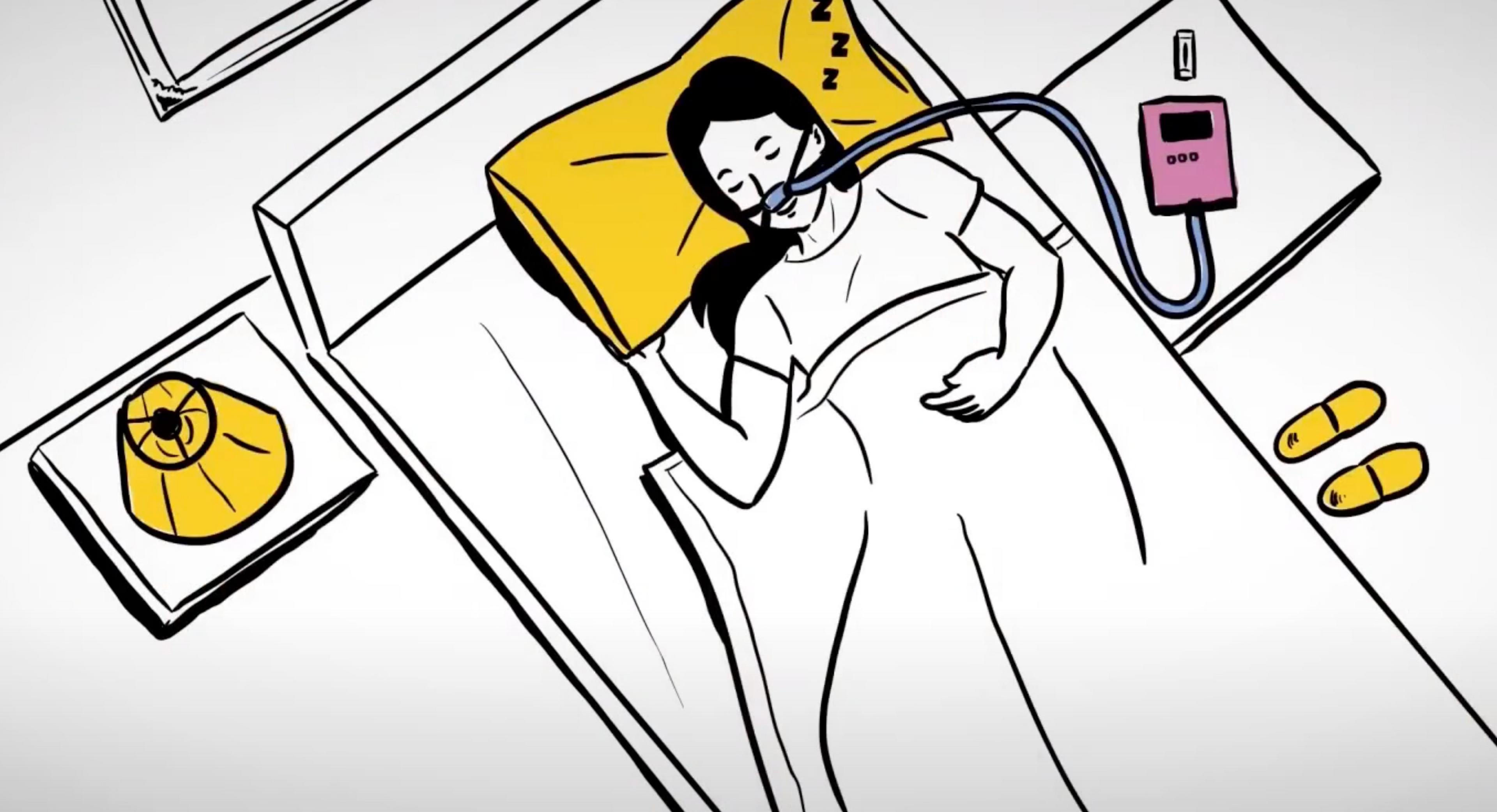 Introduction to PurSleep