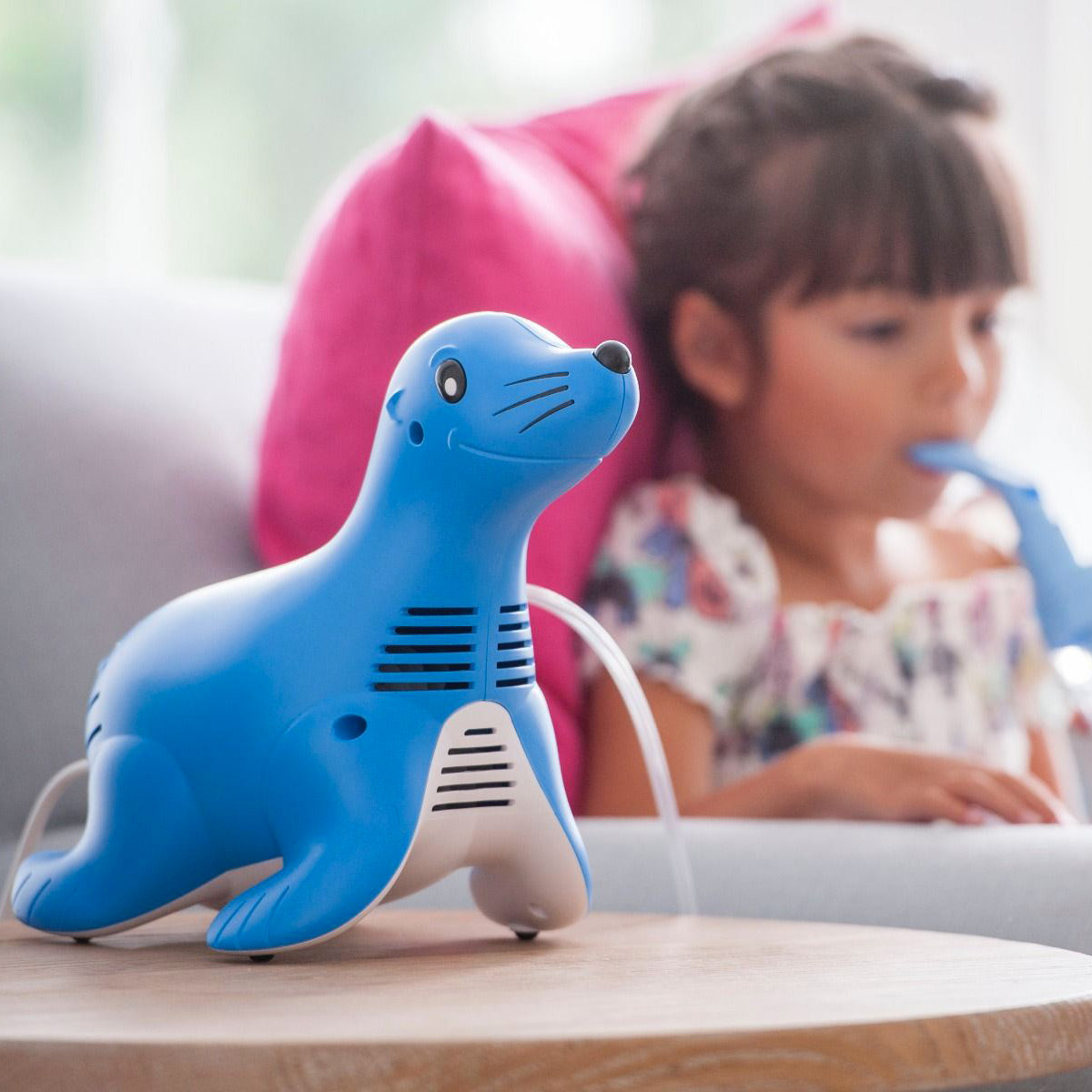 sami the seal compressor in use